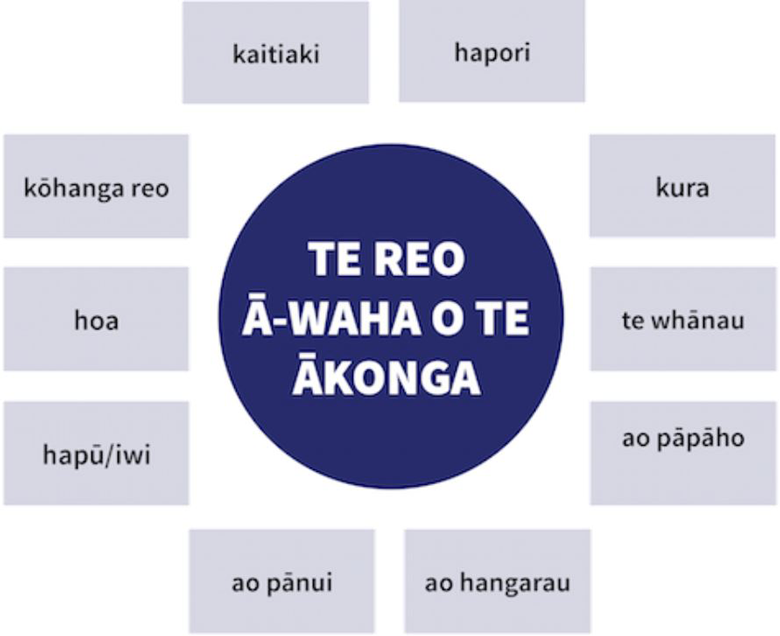 Te Whakaako Reo ā-Waha | Kauwhata Reo