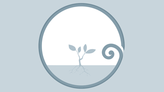 thumbnail TRM lesson plans levels 1 and 2